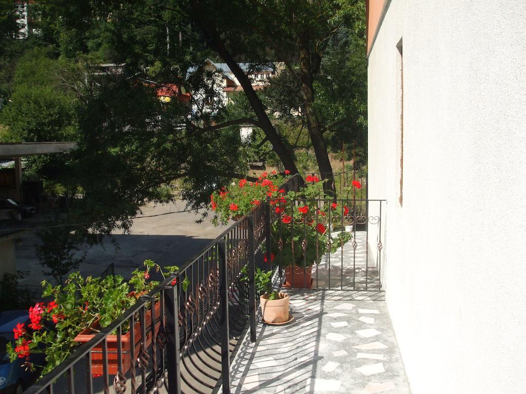 Vila Ana-Maria Sinaia Rom bilde